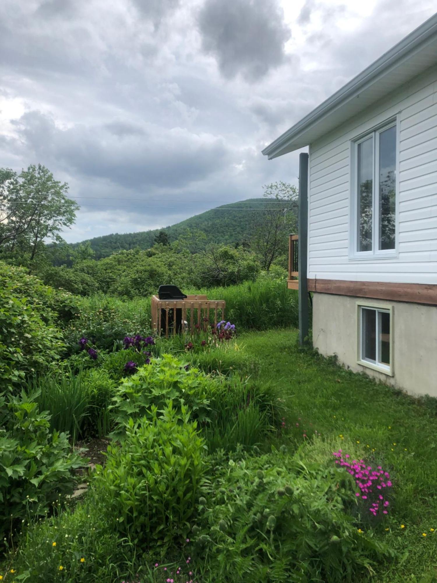Chalets Les Chanterelles De Forillon L'Anse-au-Griffon Exterior foto